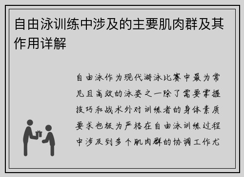 自由泳训练中涉及的主要肌肉群及其作用详解